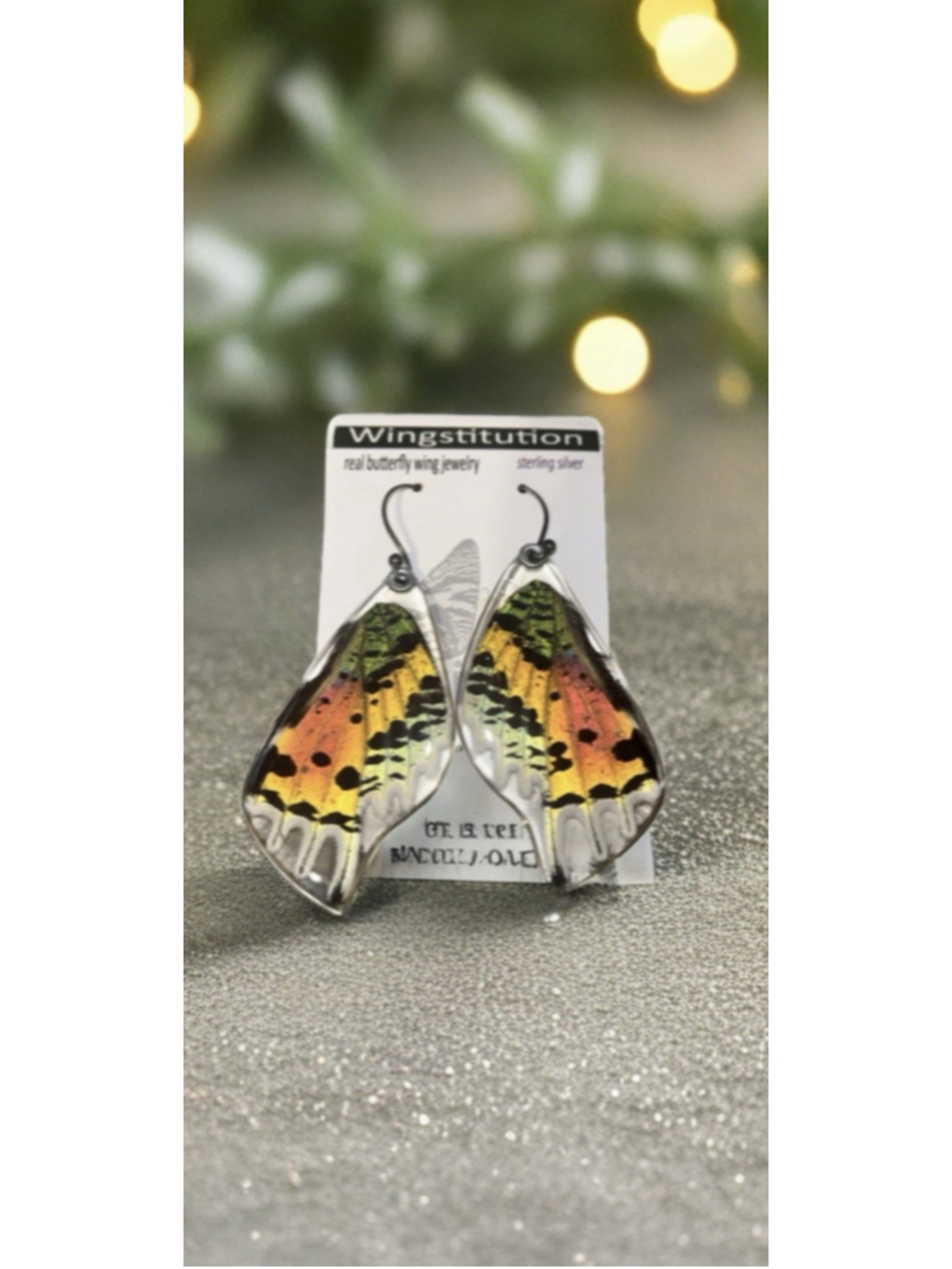 Real Butterfly Wings Metallic Rainbow Sunset Moth Wing STERLING SILVER Earrings